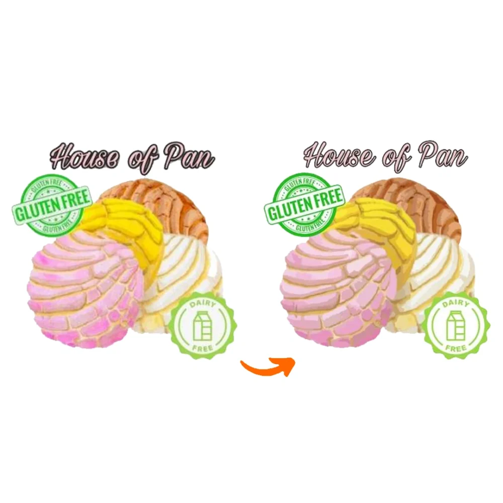 Vector Conversion Services