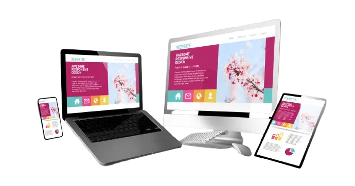 Custom website develpment Agency in the USA​